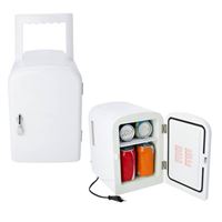 Mini frigo